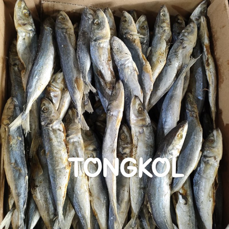 

Ikan Asin Tongkol