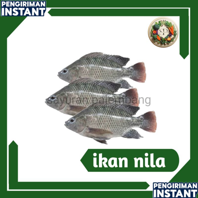 

ikan nila - sayuran palembang