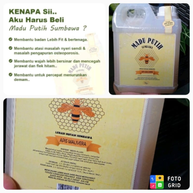 

Madu Putih Sumbawa Asli 1kg Madu Asli Murni Untuk Nyeri Sendi Tulang