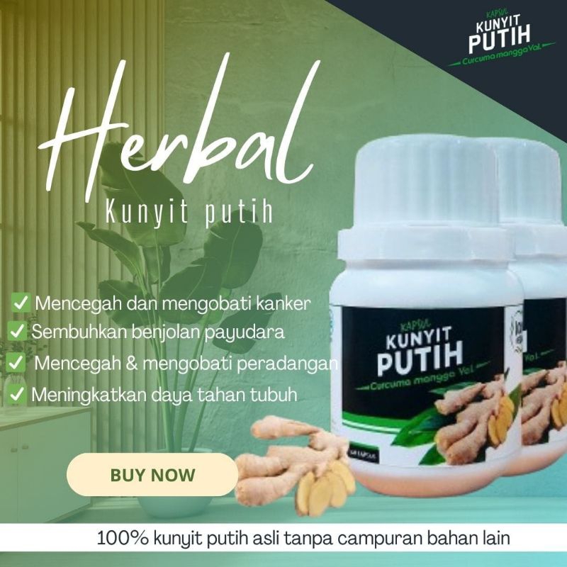 OBAT BENJOLAN HERBAL KUNYIT PUTIH KAPSUL PREMIUM ASLI KUNYIT PUTIH