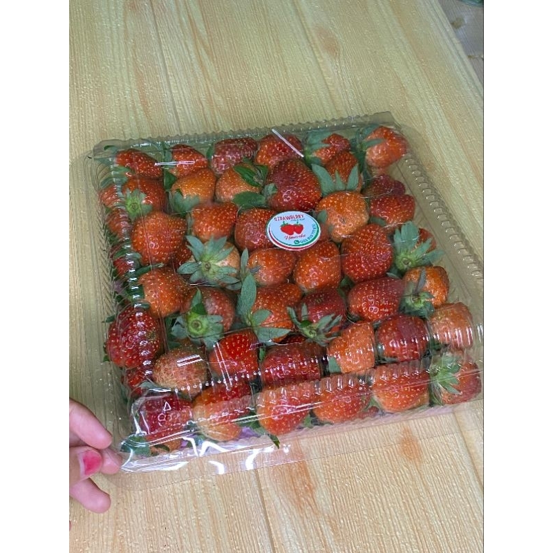 

Strawberry Fresh 1 Kg Jogja