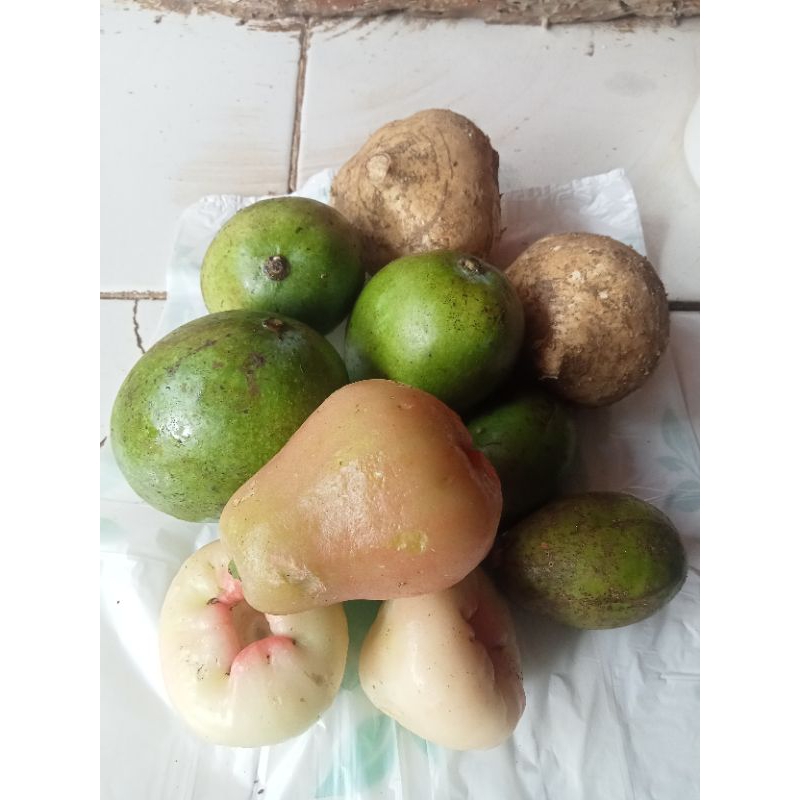 

rujak buah paket hemat segar 1 kg