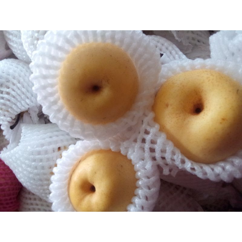 

Buah Pir