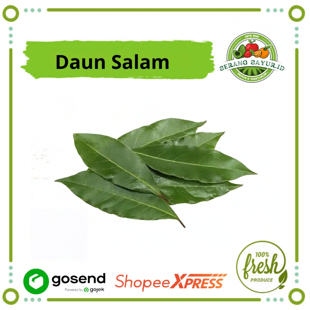 

[INSTAN SERANG] DAUN SALAM