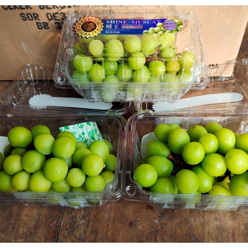 

anggur muscat per pack