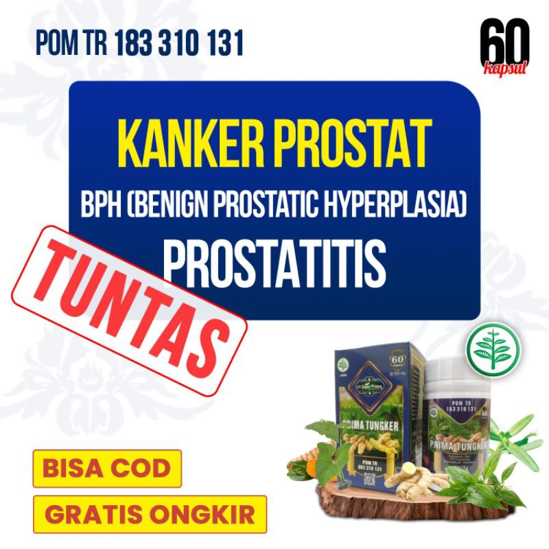 

Herbal Primatungker 1 botol untuk Kanker Prostat