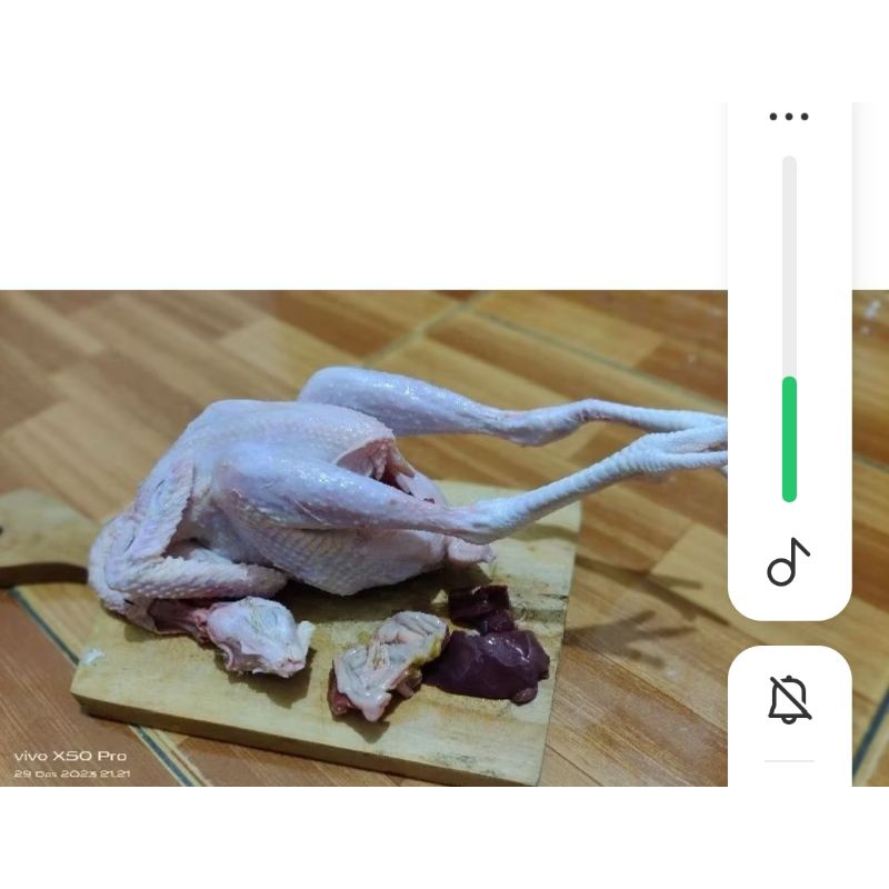 

Ayam Kampung Fresh bobot 1,7 Kg