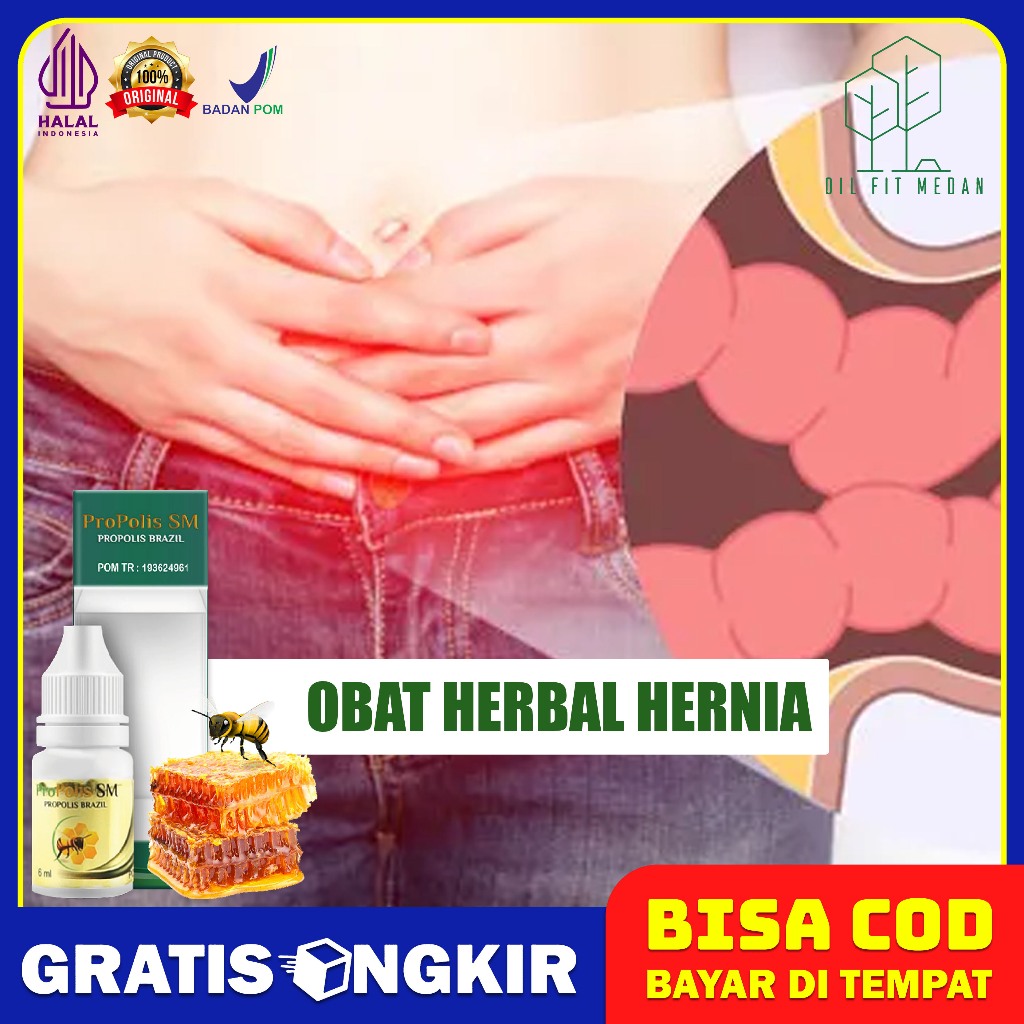 Obat Hernia Turun Berok Varikokel Hidrokel Buah Zakar Bengkak Sebelah Kanan Kiri Cepat Sembuh