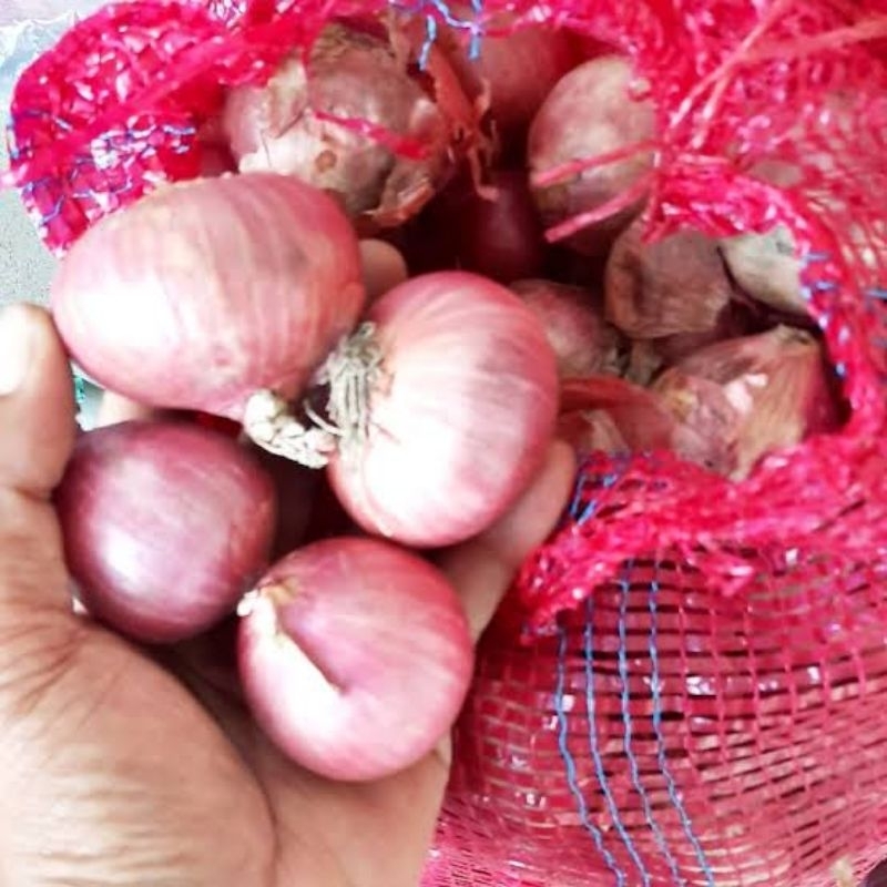 

Bawang merah peking jumbo 1kg