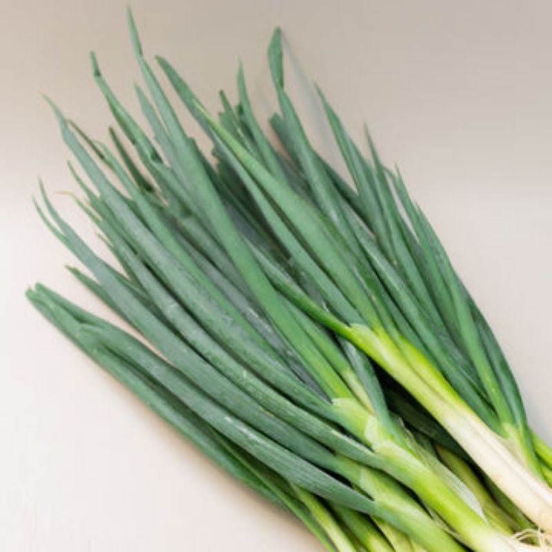 

daun bawang besar 1kg
