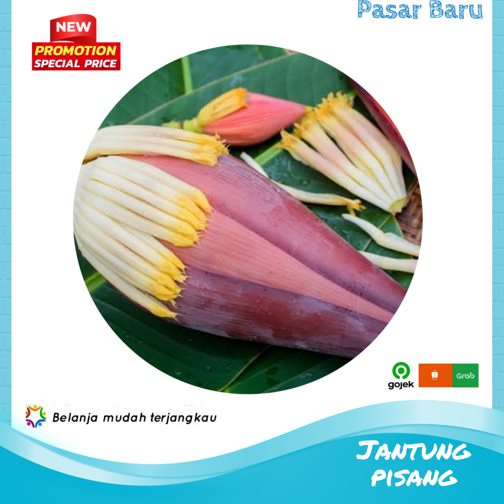 

Jantung Pisang • 1Kecil ✓ Murah | Pasar Baru Makassar