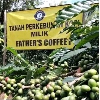 

Kopi Blend 60% Arabika 40% Robusta 1Kg (Coffee Mix Robusta) Coffee Robusta/Kopi Bubuk/Kopi Sangrai/Kopi Giling/Kopi siap Seduh/kopi Sachet/Harum/Nikmat