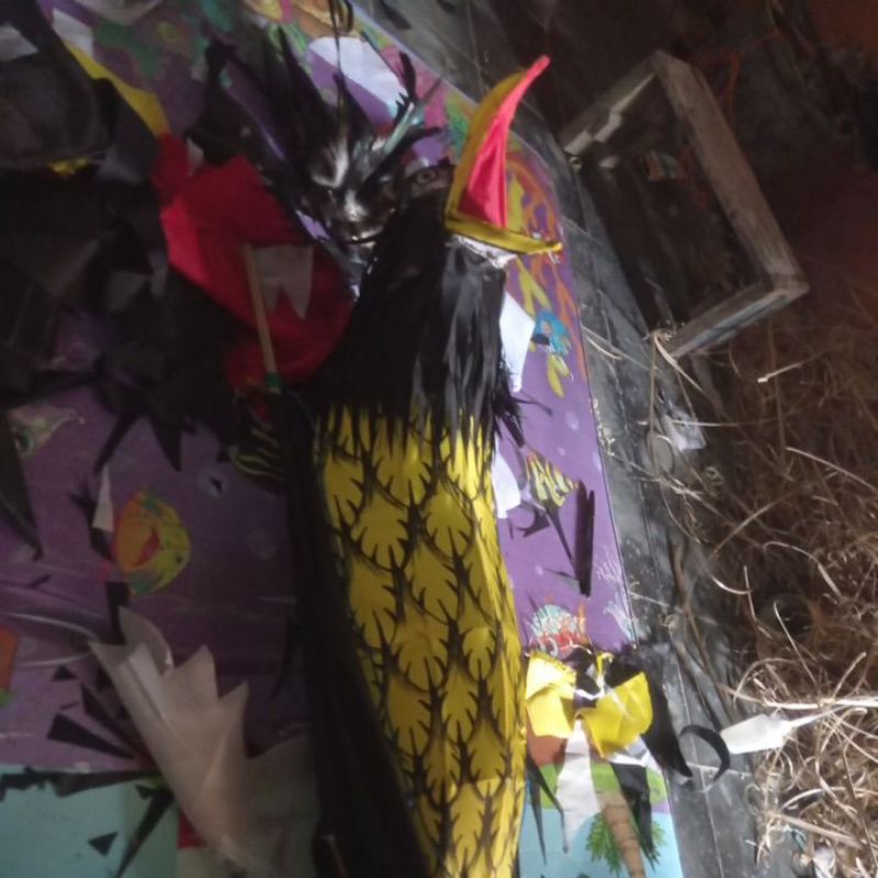 Layangan burung elang lipat