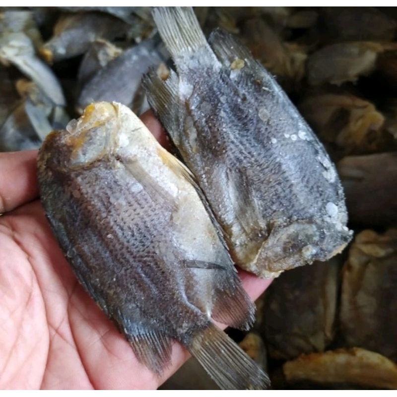 

ikan asin sepat jago enakk murah