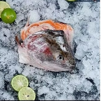 

Kapan Ikan Salmon, belah 2