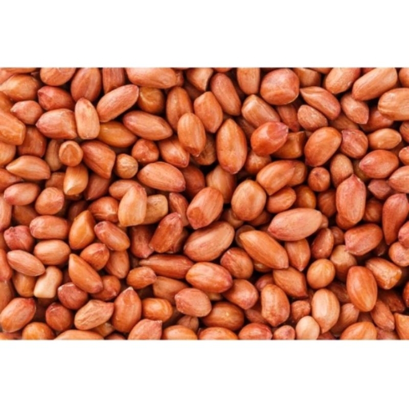 

kacang tanah India super fress 1kg