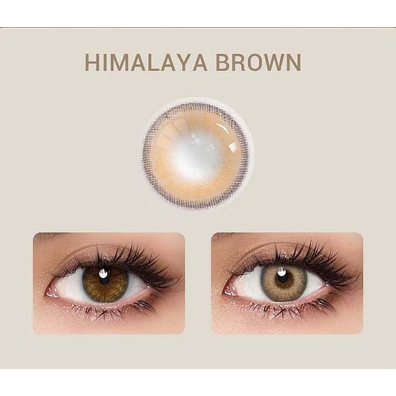 SOFTLENS HIMALAYA BROWN (HANYA NORMAL)