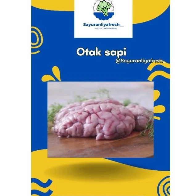 

Otak Sapi