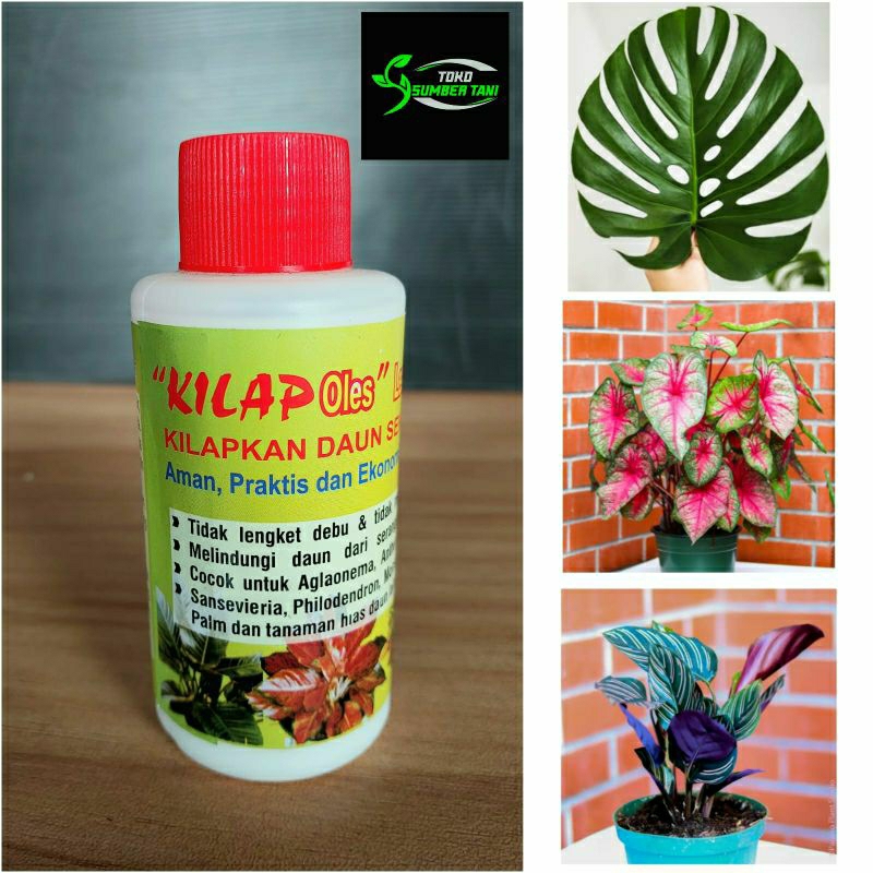 KILAP DAUN Spray 100ml Pengkilap Poles Daun Tanaman Hias