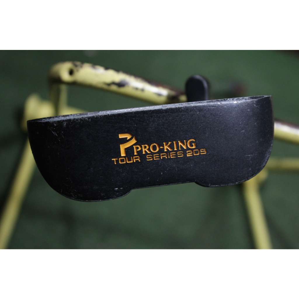 Stick Golf Anak Kids Putter Pro King USA Tour Series 20S