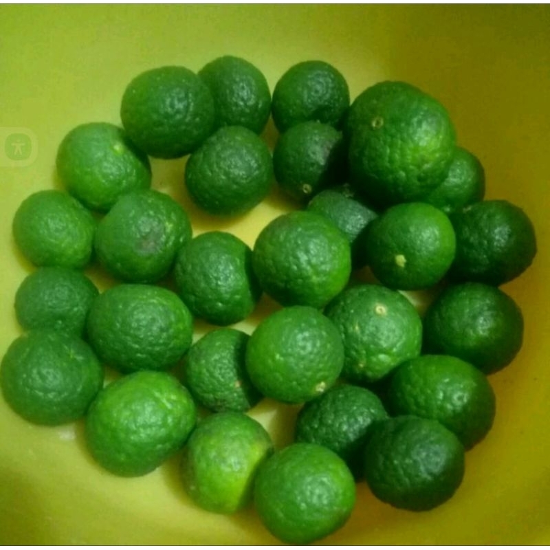 

JERUK LIMAU/ JERUK SAMBAL HARGA PER 800 - 900 GRAM