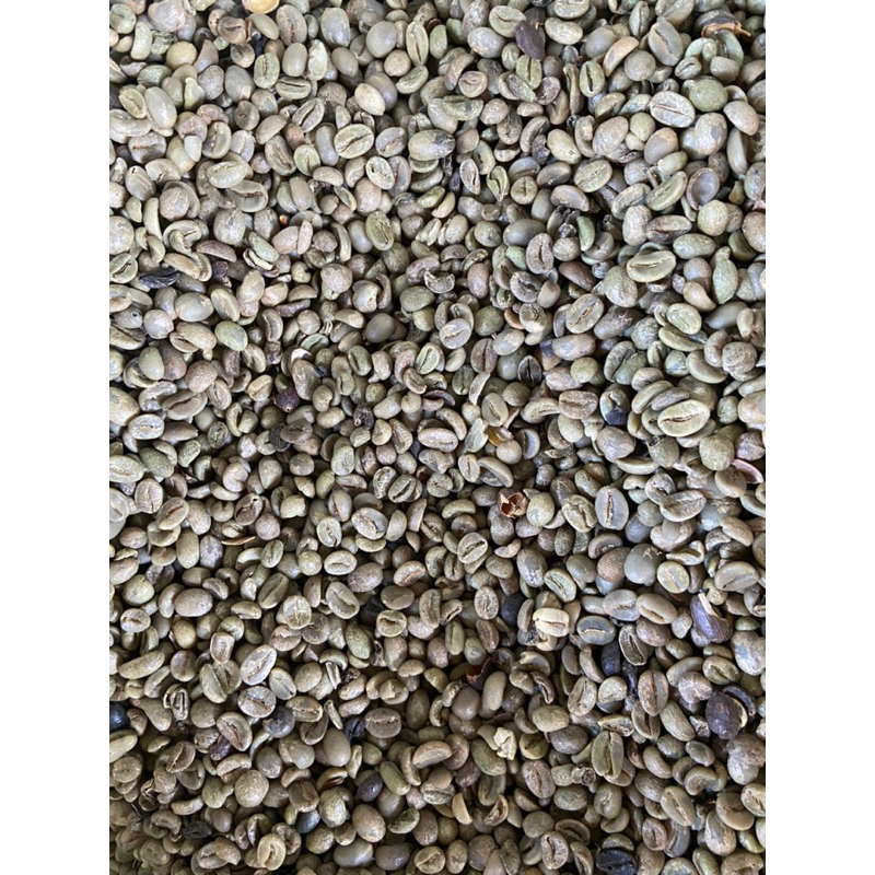 

BIJI KOPI GREEN BEAN ARABICA 1KG KOMERSIL
