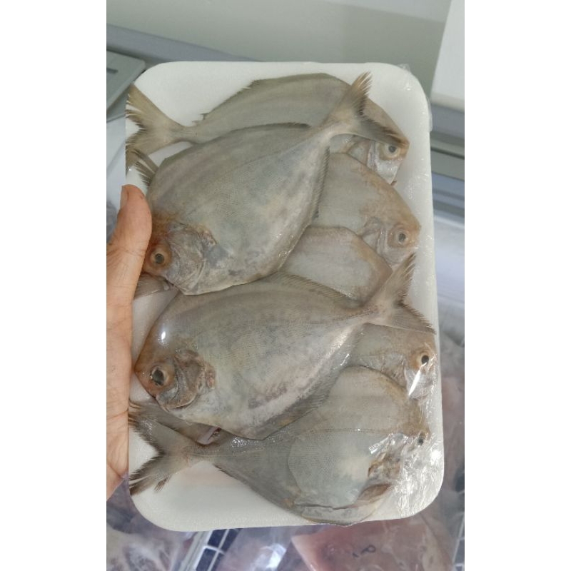 

Bawal Hitam Mini 500gr