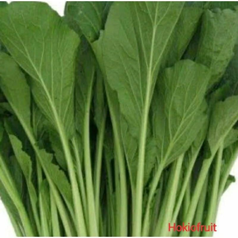 

Sawi Hijau 1ikat /hokkysayur19