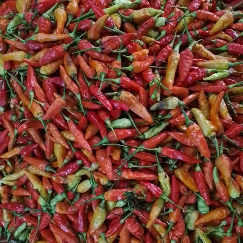 

cabe japlak 50000/kg