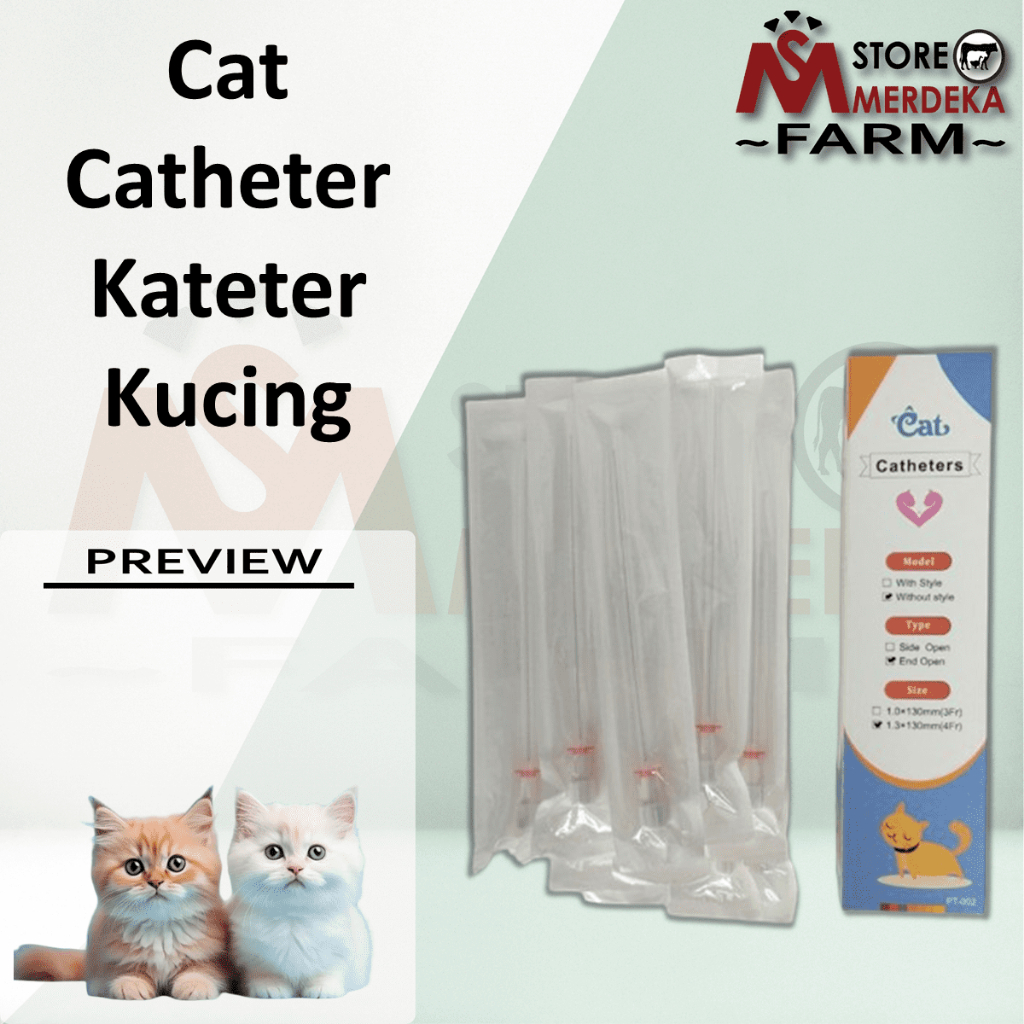 Cat Catheter Kateter Urine Kucing