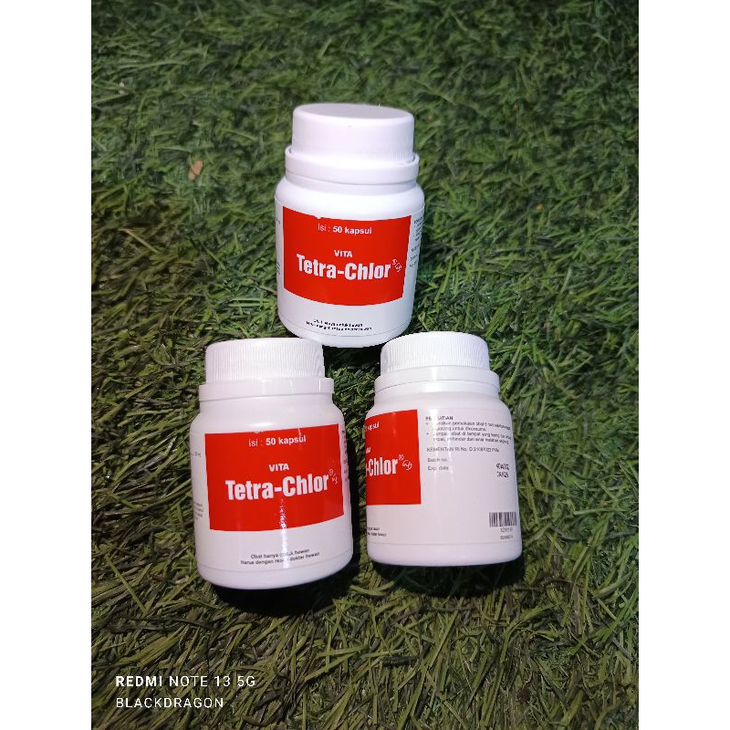 TETRA-CHLOR TETRAKOL OBAT AYAM 50 kapsul