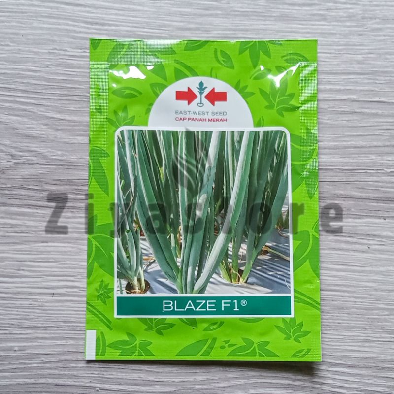 Benih daun bawang BLAZE F110 gr cap panah merah