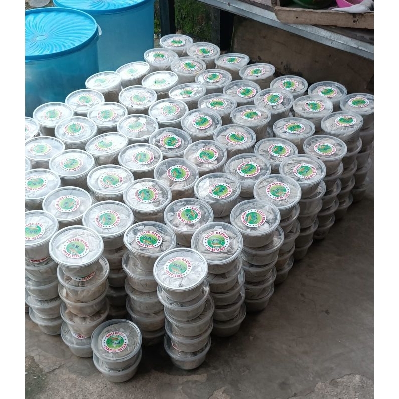 umpan pancing KUCUR RR / KUCUR RAHMAT / KUCUR TERLARIS