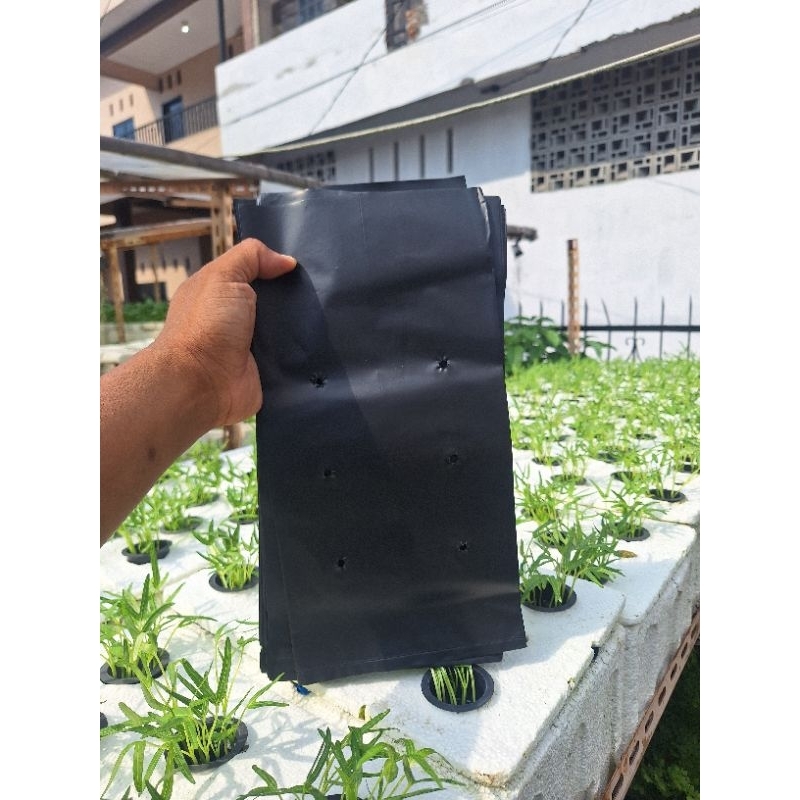 Plastik Polybag / Polibag Tanaman Berkualitas UKURAN 35cm x 35cm BESAR Harga per pcs / per lembar