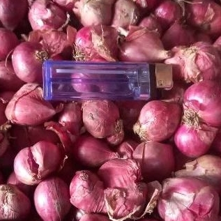 

TERMURAH bawang merah berkualitas super 1 kg / bawang merah super istimewa 1kg kering