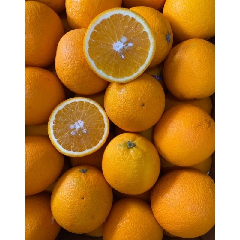 

Jeruk Sunkist Valencia Greenmove