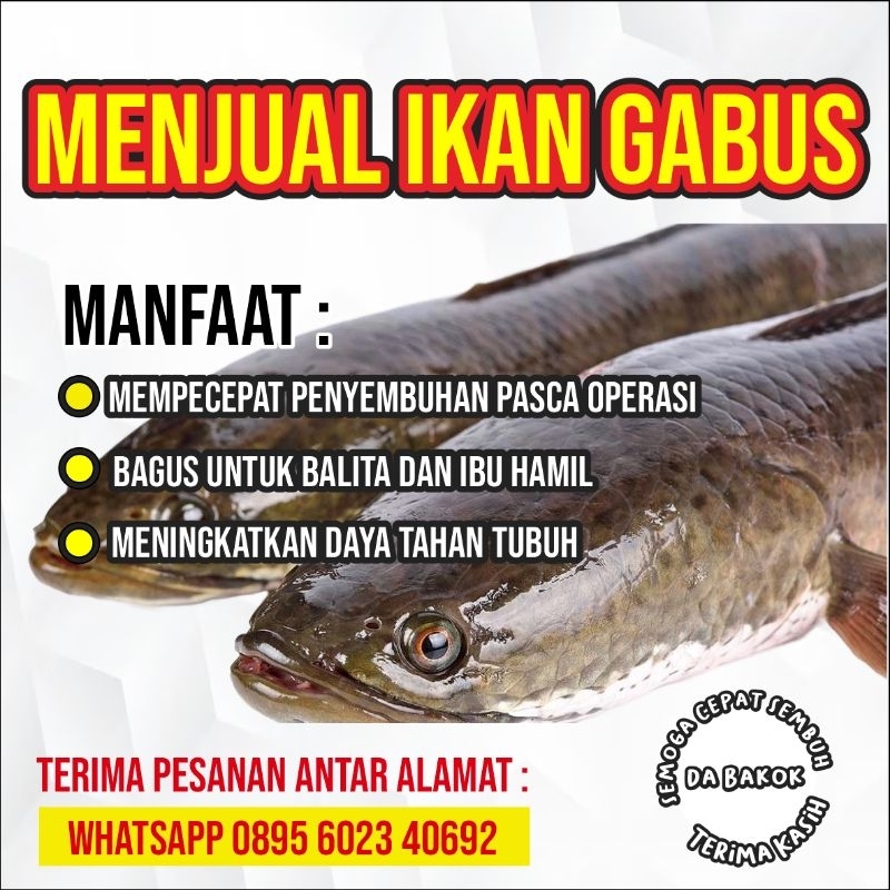 

IKAN GABUS/BAKOK/RUTIANG SEGAR
