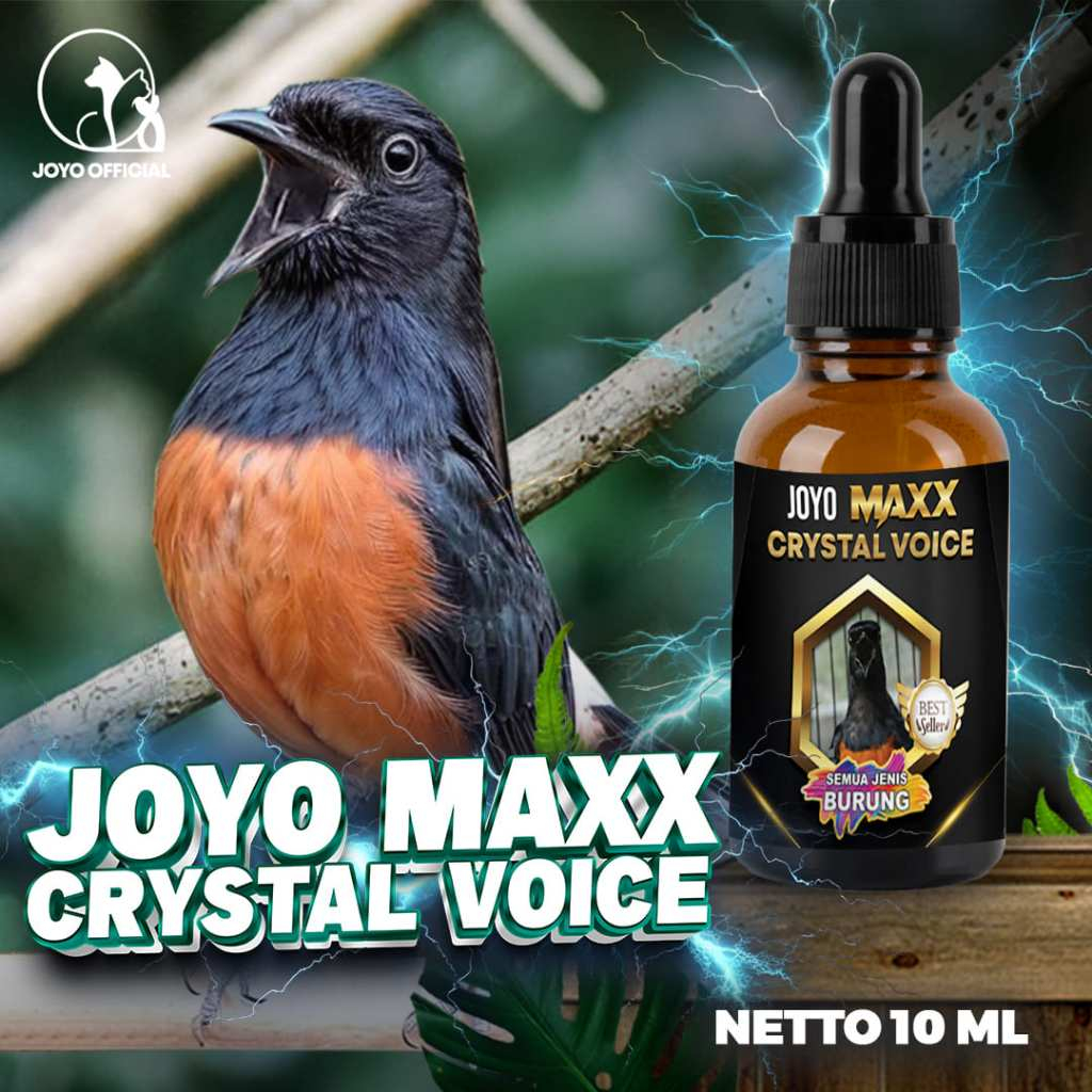VITAMIN BURUNG SUARA JERNIH | OBAT BURUNG | SUARA BURUNG  KRISTAL | SUARA BURUNG  MERDU | MAXX CRYST