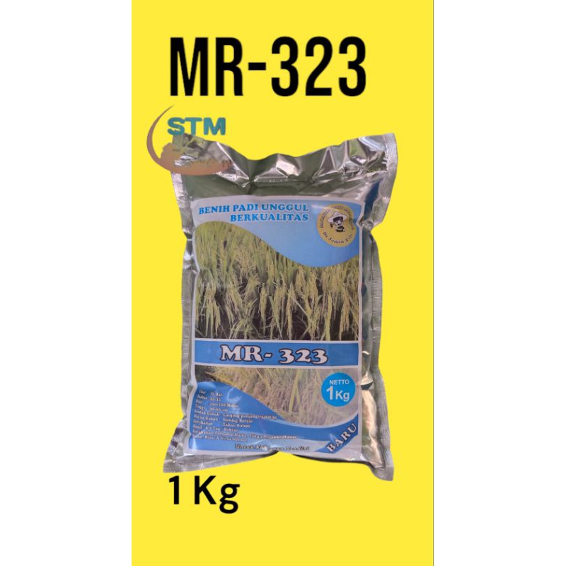 Benih Padi MR323 Original Aceh 1kg