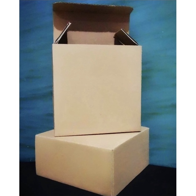 

SPESIAL EXTRA KARDUS Extra Bubble Wrap untuk packing lebih aman