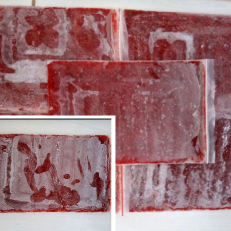 Garansi Order  Cacing Beku Lempeng 1kg isi 4pcs Cacing Darah Beku  Blood Worm Makanan Ikan Hias