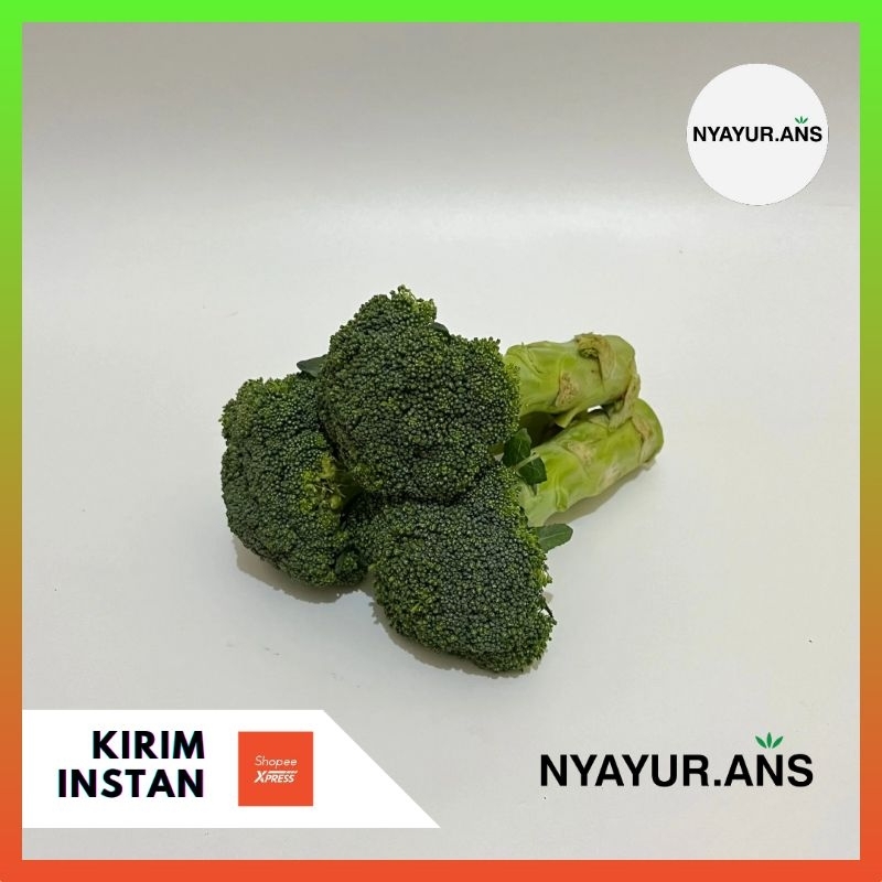 

Brokoli 500 Gram - Nyanyur.ans