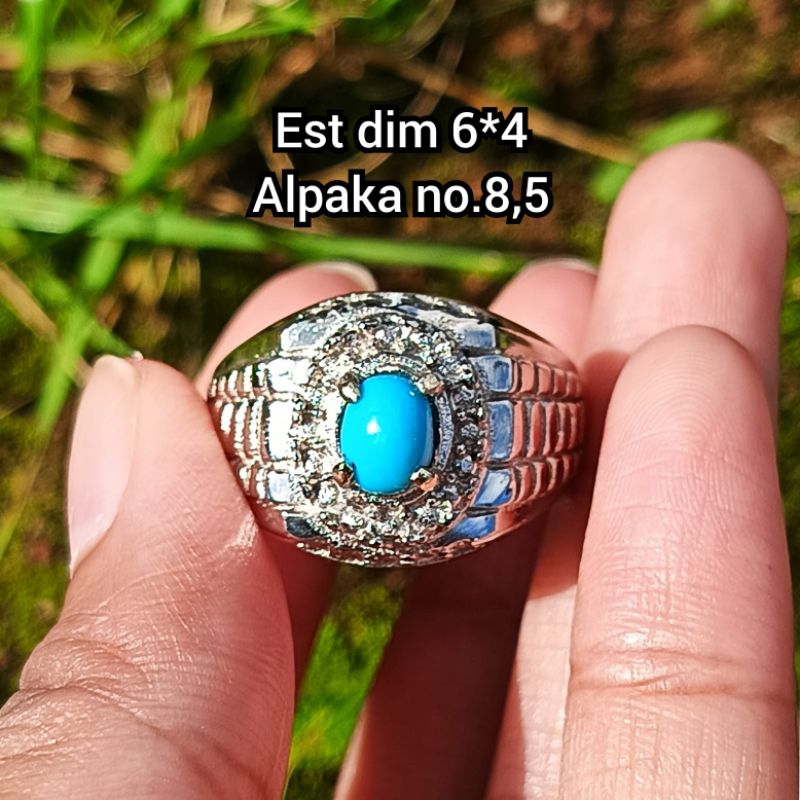 pirus Persia polosan