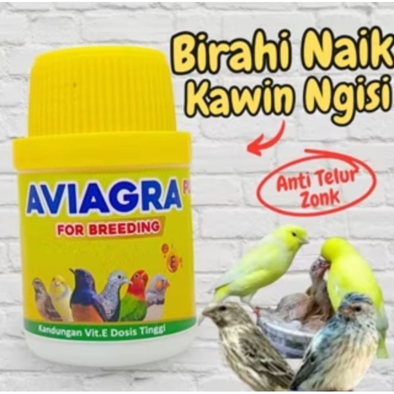 AVIAGRA PLUS VITAMIN OBAT BREEDING TERNAK BURUNG KONSENTRASI TINGGI UNTUK BURUNG MURAI BLACKTHROAT K