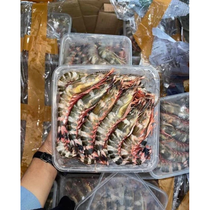 

udang windu 1kg