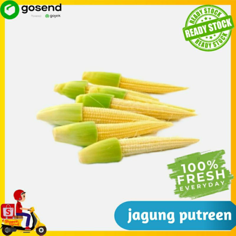 

Jagung muda / putren - Sayur segar - Tukang sayur Palembang