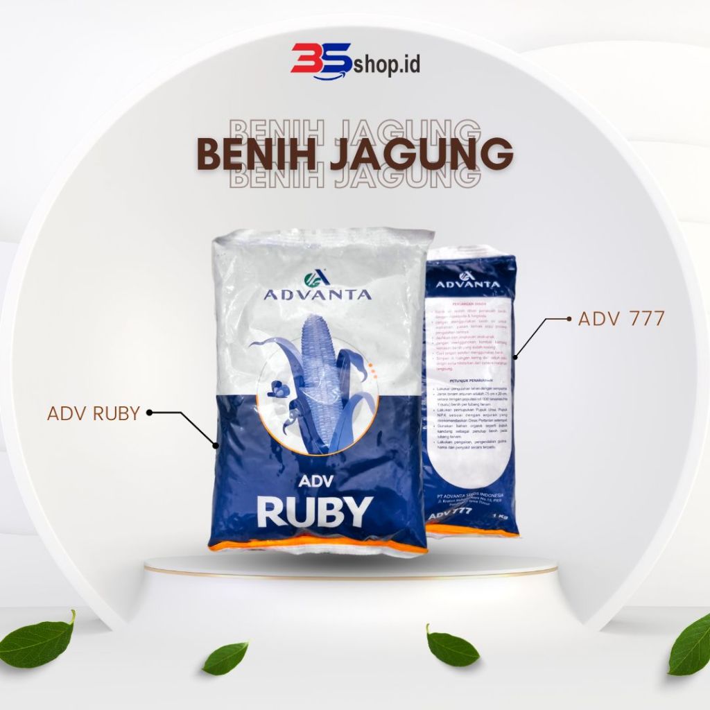 BENIH JAGUNG ADVANTA ADV 777 RUBY