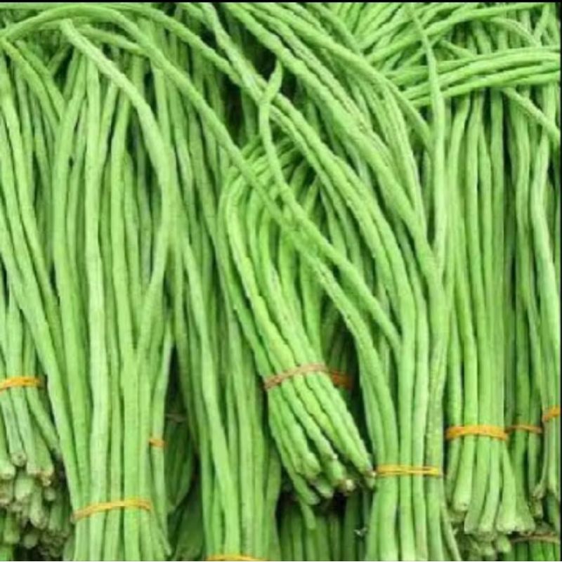 

Kacang panjang 1 ikat/ 500 gram