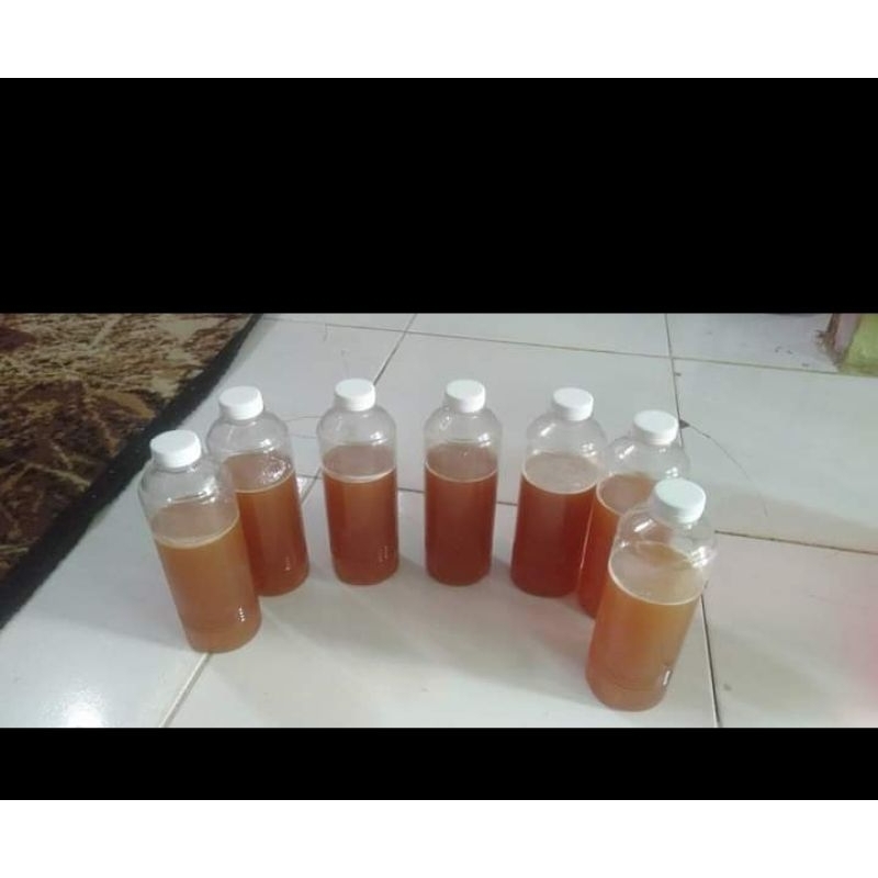 

madu hutan asli Kapuas hulu