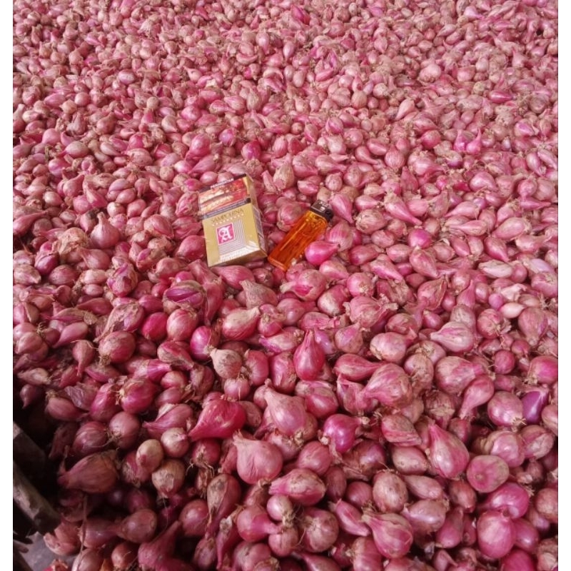 

bawang merah lokal nganjuk tanggung glowing/ brambang lokal nganjuk tanggung glowing murah meriah